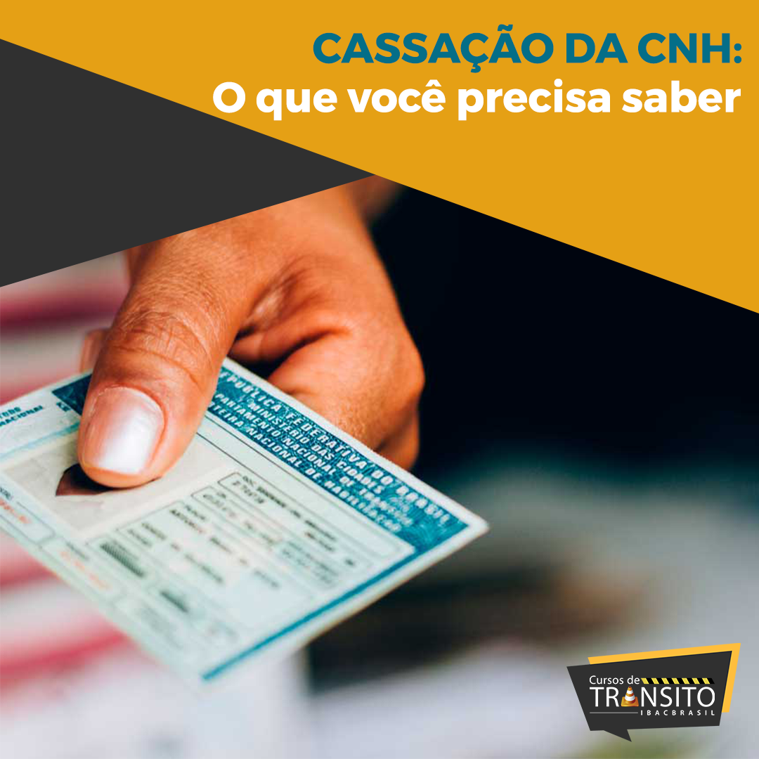 Cassação da CNH: O que você precisa saber